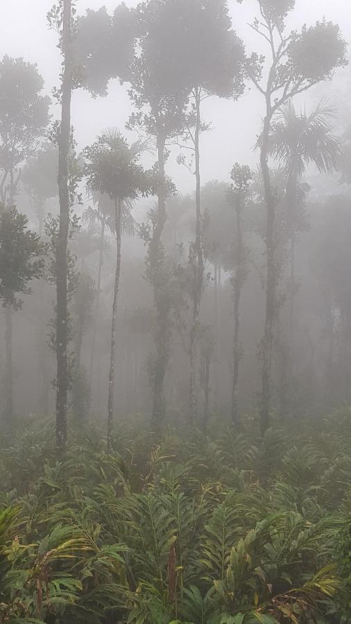 Hotel Tree Blanche Munnar Esterno foto