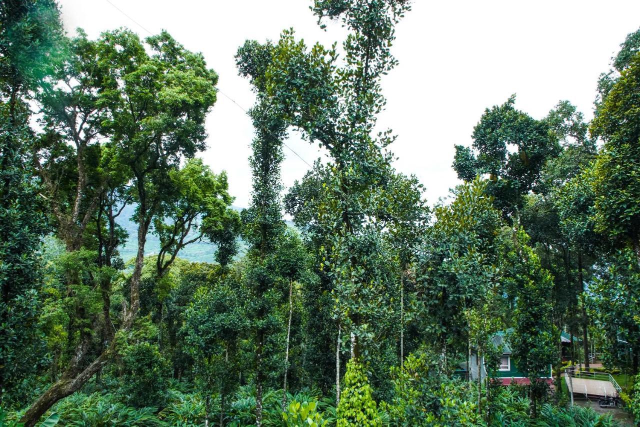 Hotel Tree Blanche Munnar Esterno foto